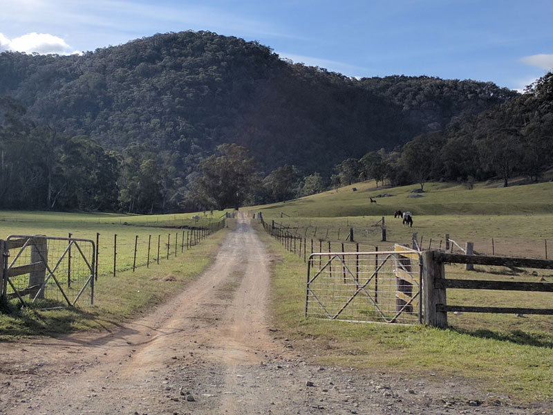 Long dusty driveway - Highlands Arrivals - Your Buyers Agent in the Southern Highlands